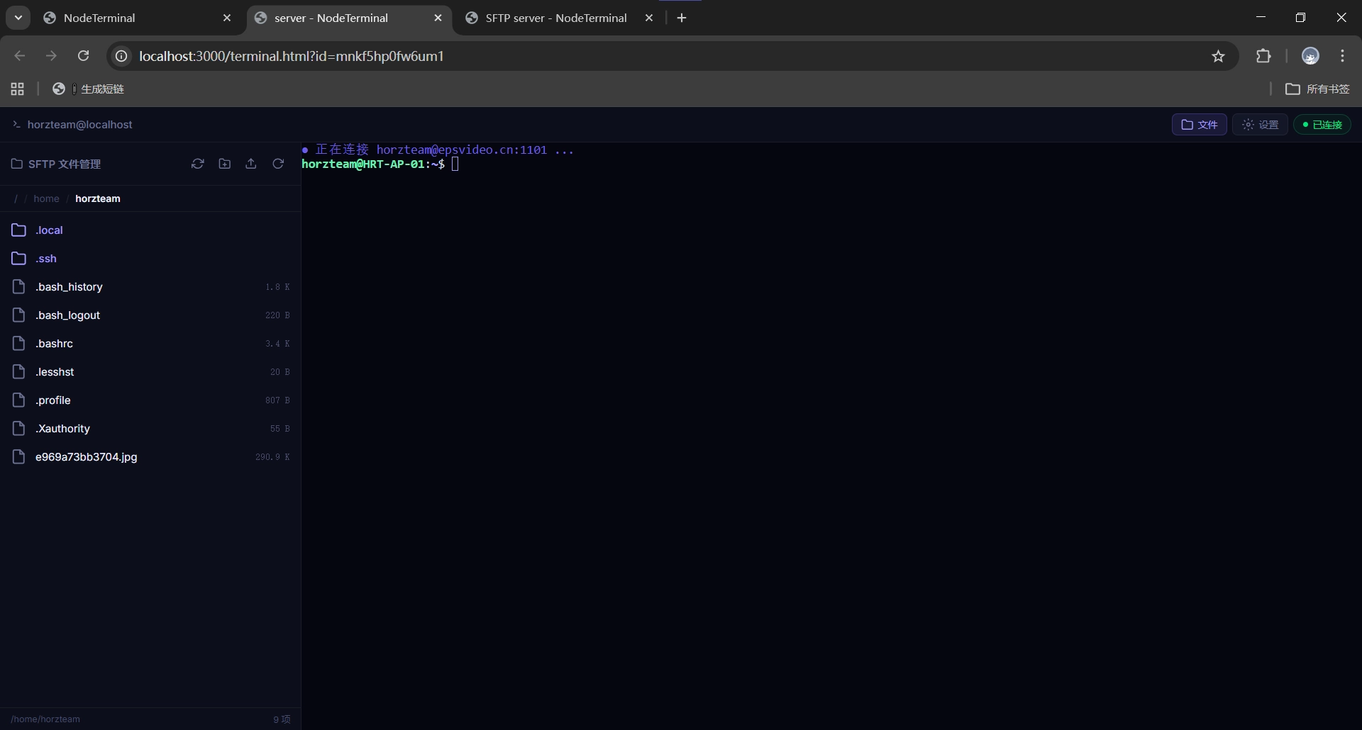 NodeTerminal | 基于 Node.js 的轻量 Web 远程连接管理器，支持 SSH 、SFTP 、VNC、RDP、FTP